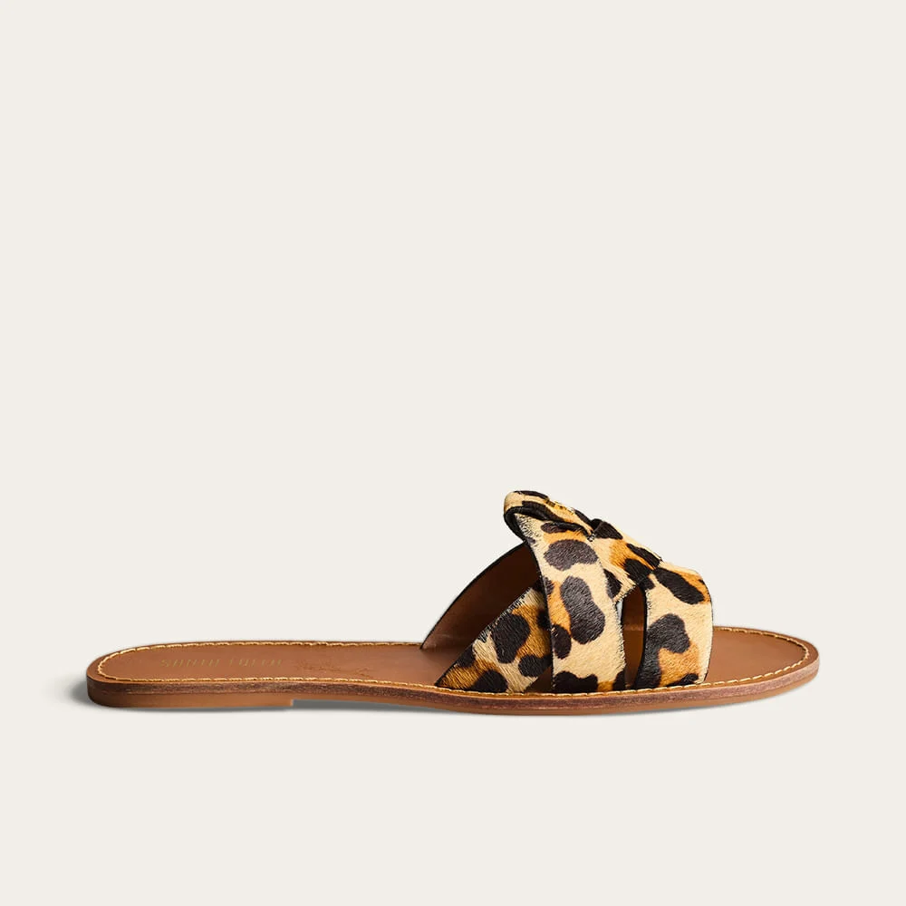 Rasteira Flat Tiras Entrelaçadas Animal Print Onça - vista 1 de 3